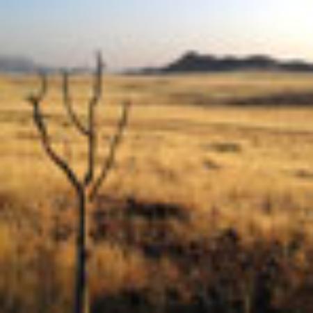 Hyderabadi Biryani Darbar